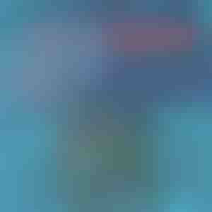 Бързосъхнещи Бански | TOGGIES