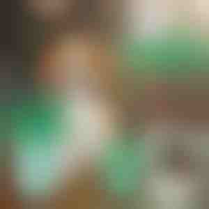 Чаша за Почистване на Кучешки Лапи | PAWSANI