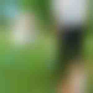 Каишка за кучета със свободни ръце | CROSSLEASH