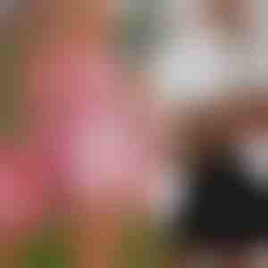 Пола с къси панталонки и джоб | SKORTIFY