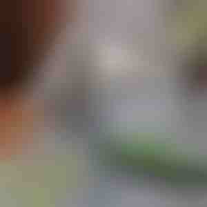 Моп за премахване на косми от домашни любимци | PAWMOP