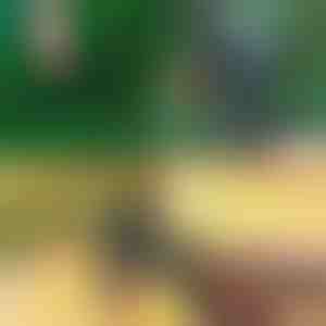 Професионални 2-в-1 ножици за подрязване и присаждане | MASTERCUT