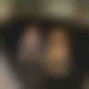 Водоустойчив калъф за задната седалка на кола | CARIPET